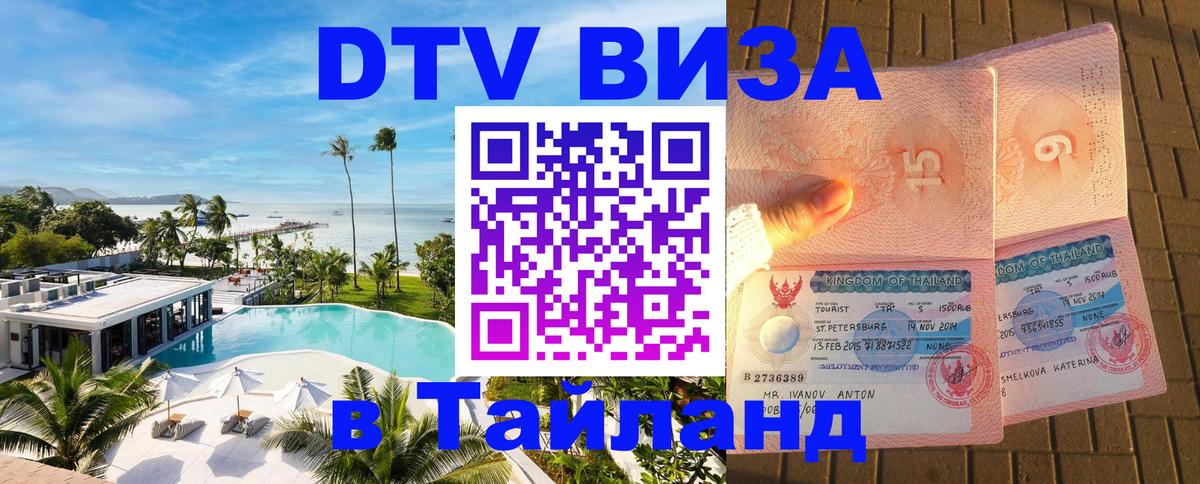 Сколько стоит DTV виза — актуальные цены, оформление даже без документов - 06.12.2025 